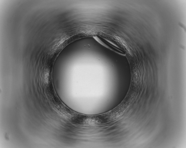 X0000097000596200802221522