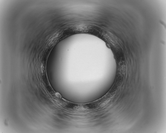 X0000097000597200802221522