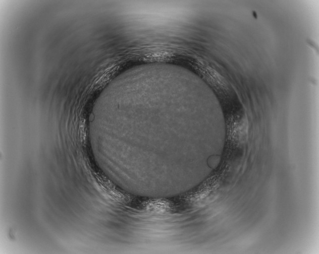 X0000097000599200802221522