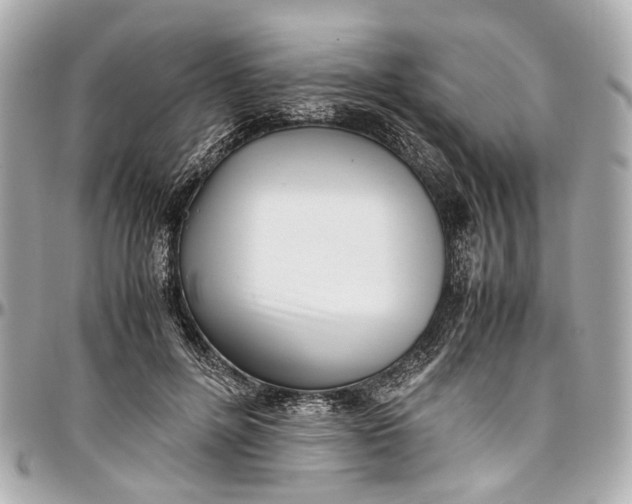 X0000097000600200802221522