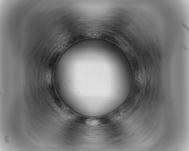 X0000097000602200802221522