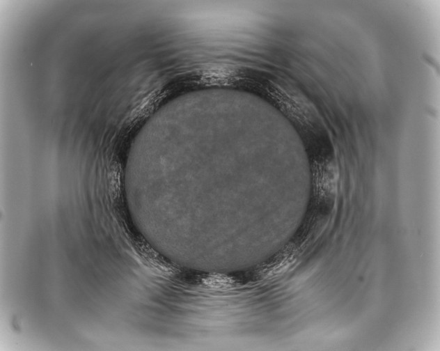 X0000097000603200802221522