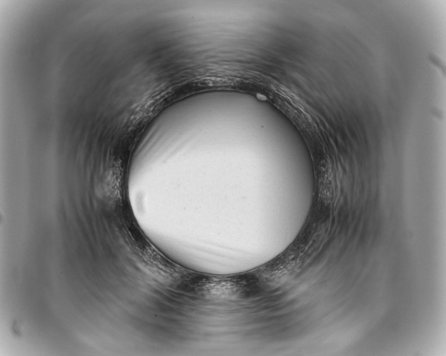 X0000097000604200802221522