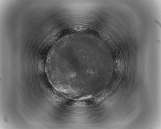 X0000097000606200802221522