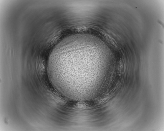 X0000097000608200802221522