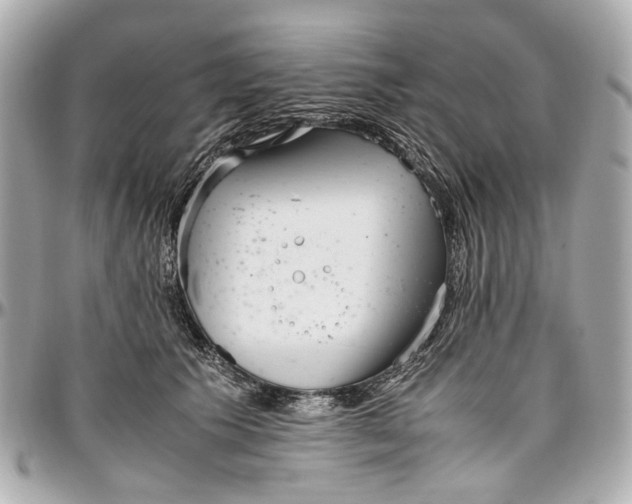 X0000097000609200802221522