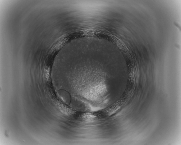 X0000097000610200802221522