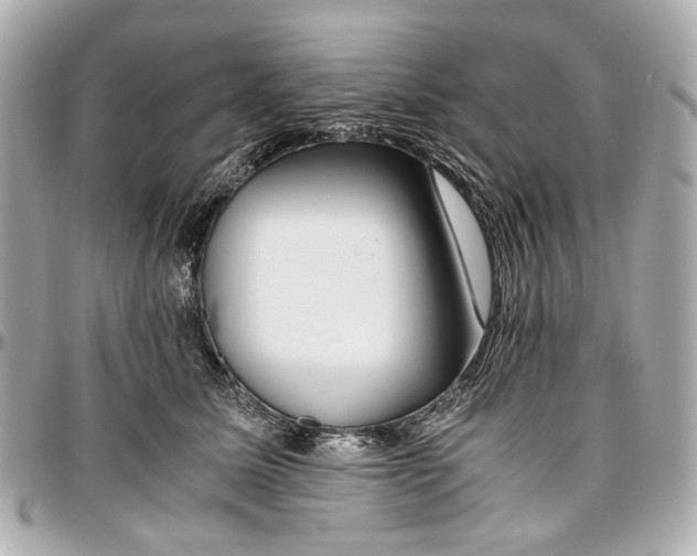 X0000097000611200802221522