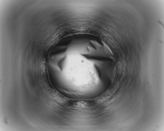 X0000097000612200802221522