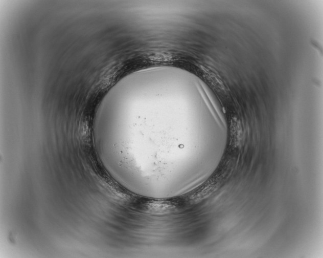 X0000097000614200802221522