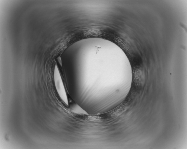 X0000097000617200802221522