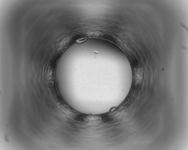 X0000097000619200802221522