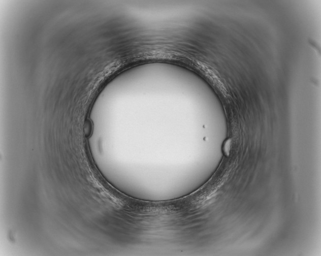 X0000097000625200802221521