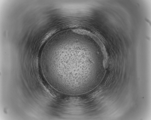 X0000097000626200802221521