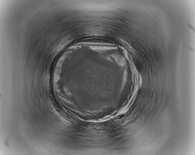 X0000097000627200802221521