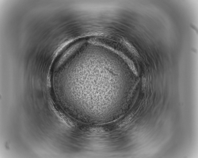 X0000097000628200802221521