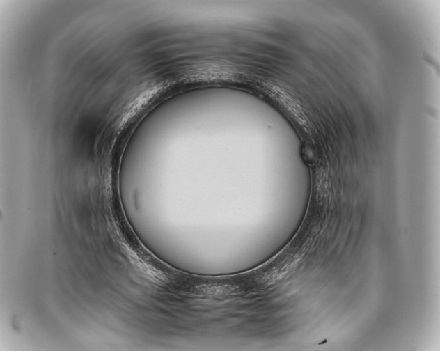 X0000097000629200802221521