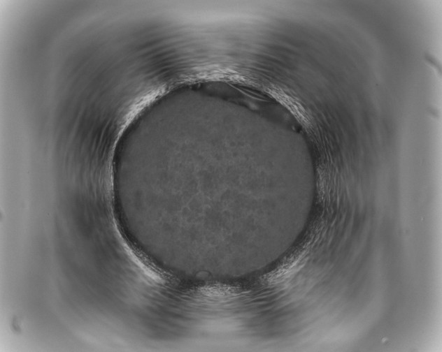 X0000097000630200802221521