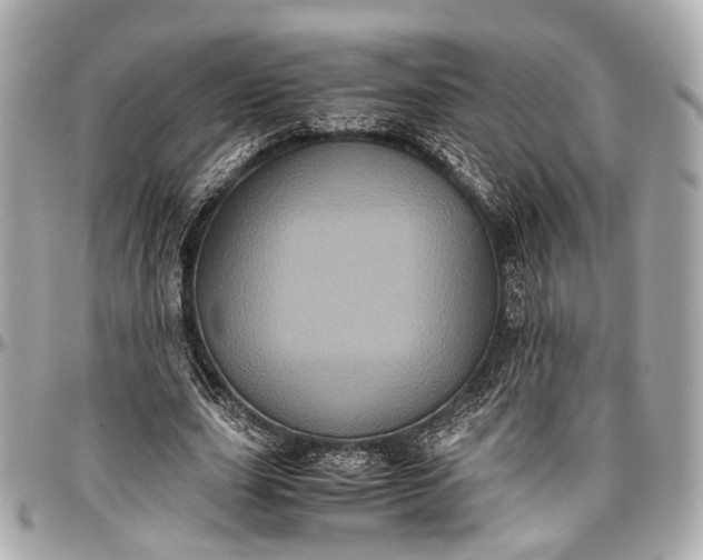 X0000097000631200802221521