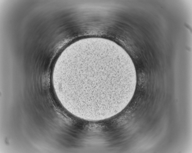 X0000097000632200802221521