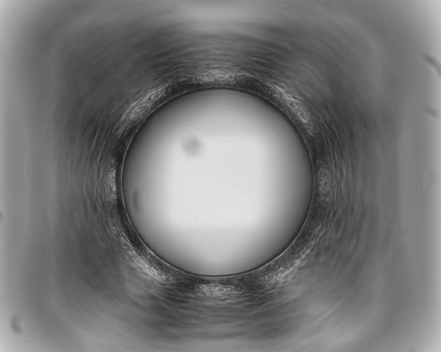 X0000097000633200802221521