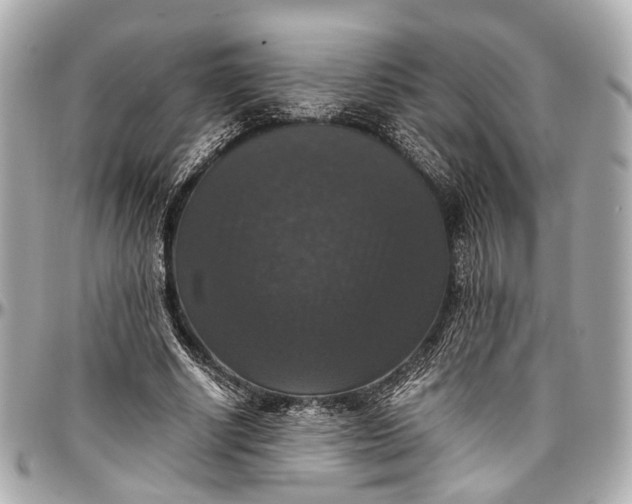 X0000097000634200802221521