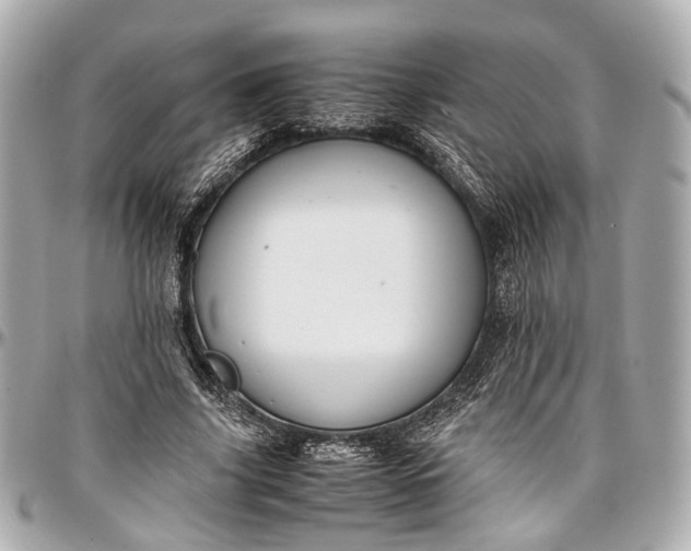 X0000097000635200802221521