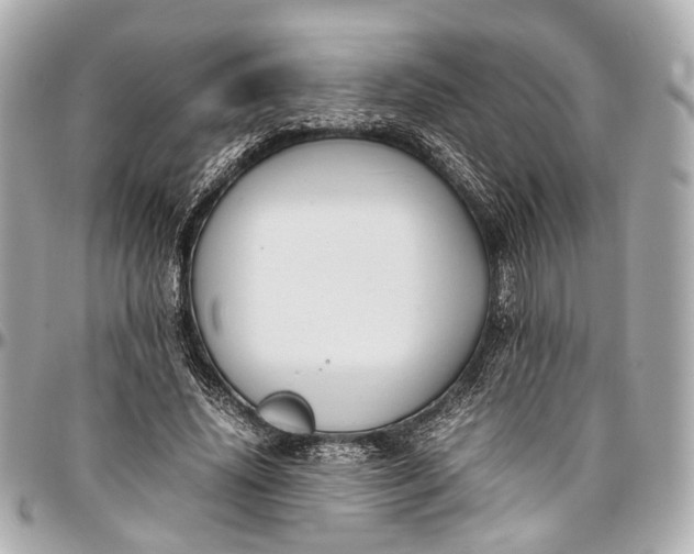 X0000097000636200802221521