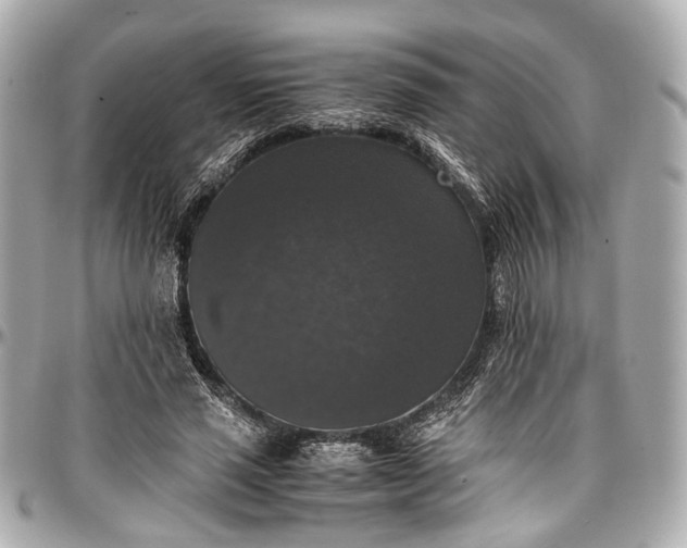 X0000097000637200802221521