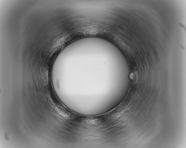 X0000097000638200802221522