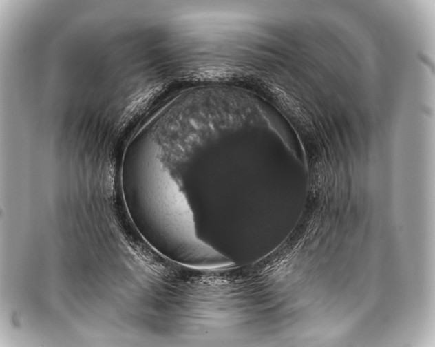 X0000097000640200802221522