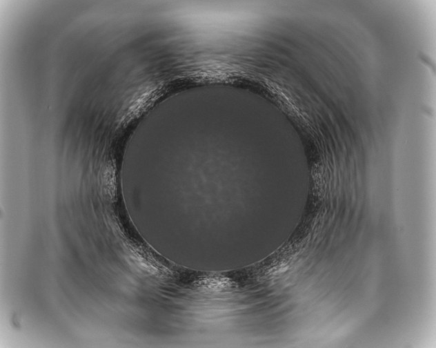 X0000097000642200802221522