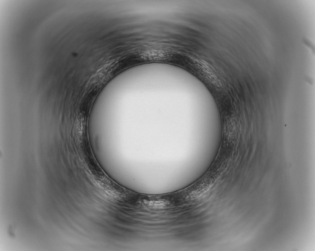 X0000097000645200802221522