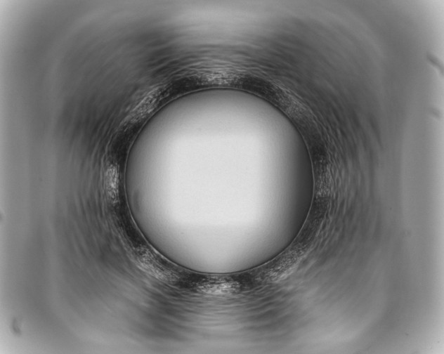 X0000097000646200802221522