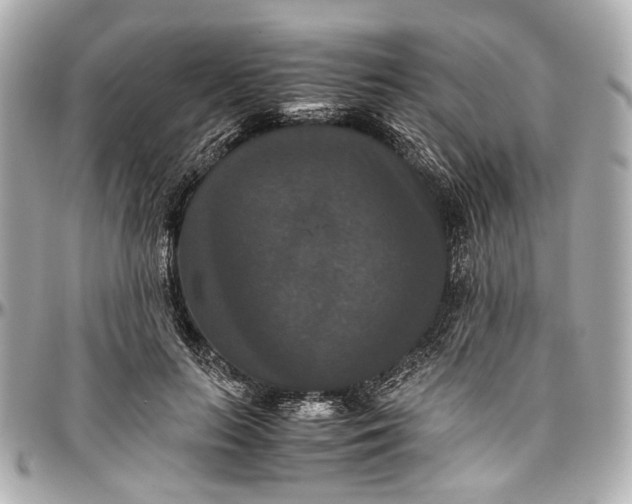 X0000097000647200802221522