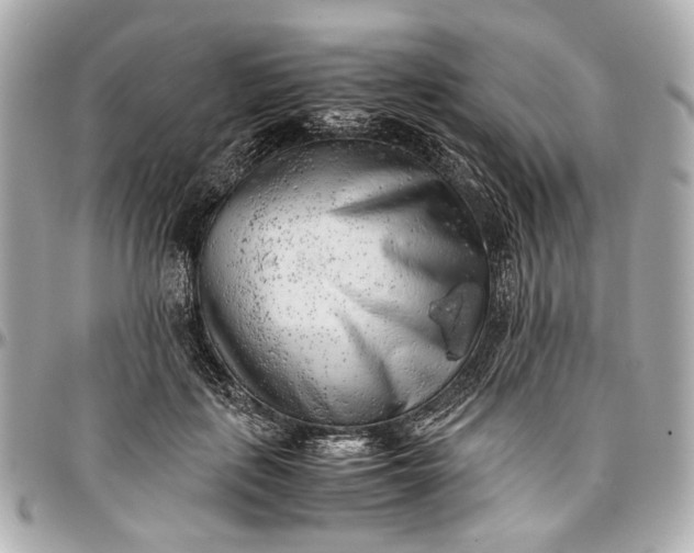 X0000097000651200802221522