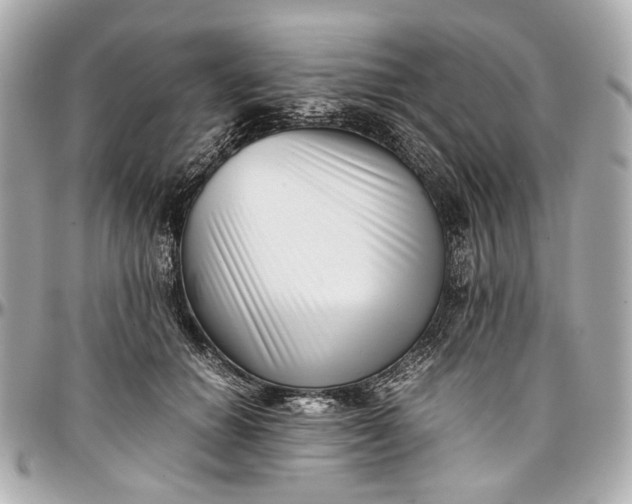 X0000097000654200802221522