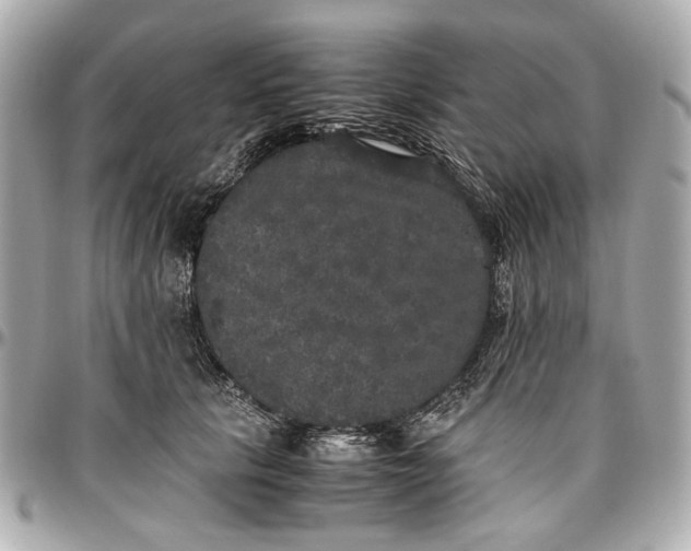 X0000097000657200802221522