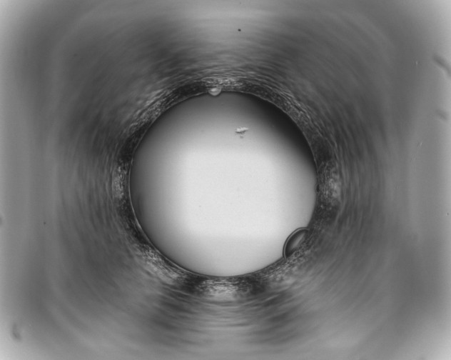 X0000097000658200802221522