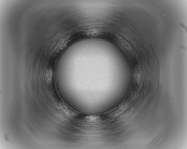 X0000097000660200802221522