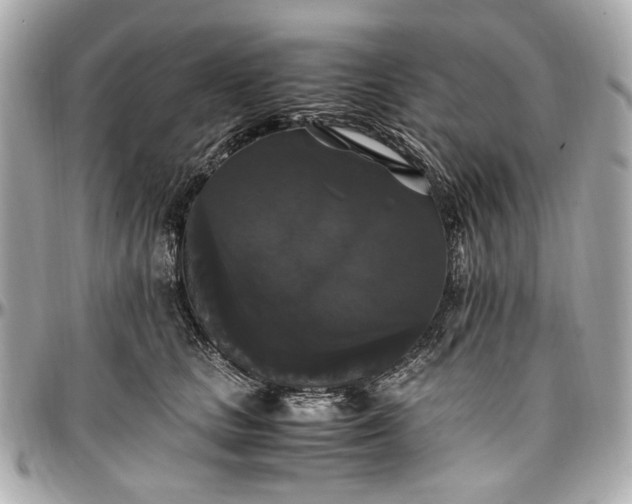 X0000097000661200802221522