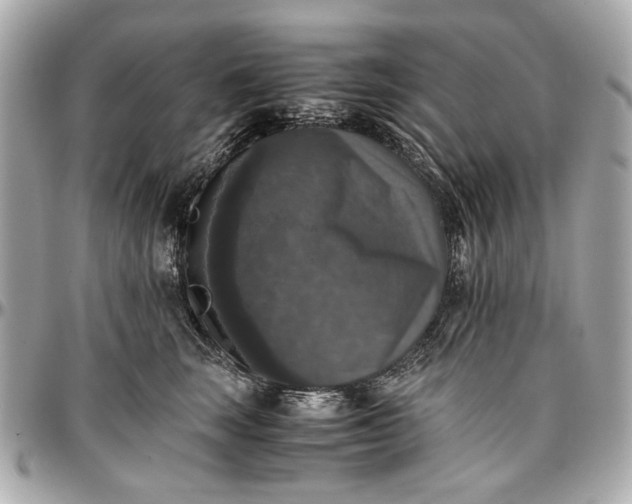 X0000097000663200802221522