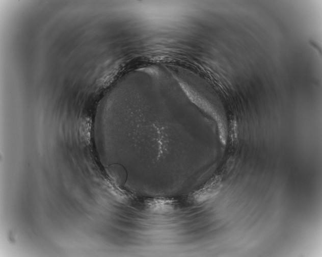 X0000097000664200802221522