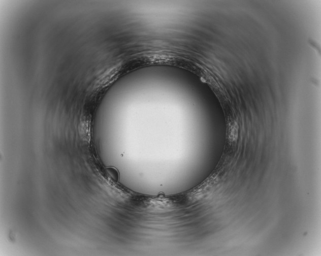 X0000097000666200802221522