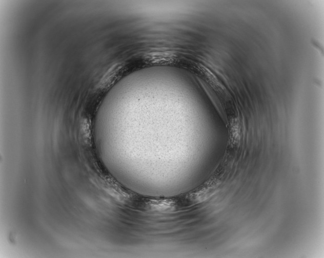 X0000097000667200802221522