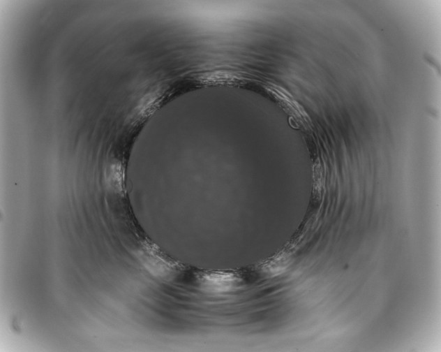 X0000097000669200802221522