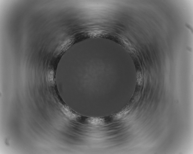 X0000097000670200802221522