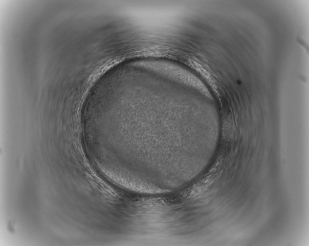 X0000097000673200802221521