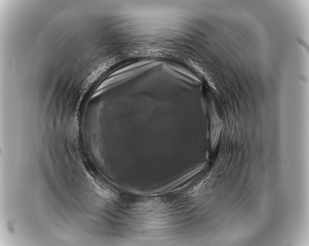 X0000097000674200802221521