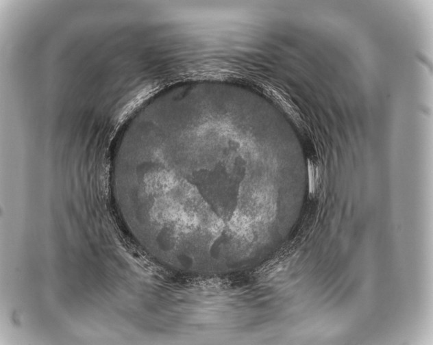 X0000097000675200802221521